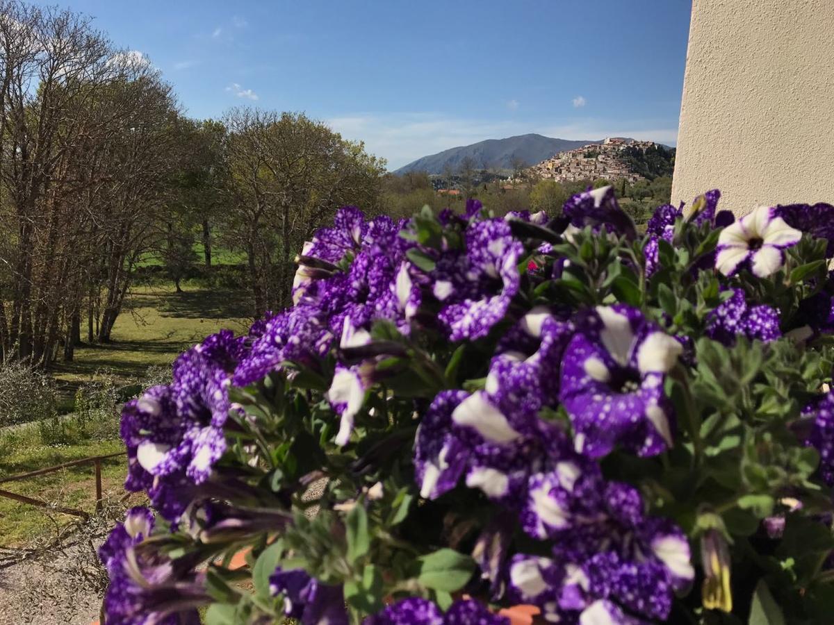 Agriturismo L'Ulivo Padula Buitenkant foto