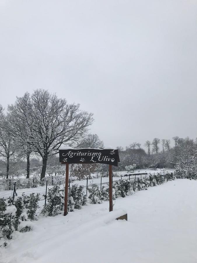 Agriturismo L'Ulivo Padula Buitenkant foto