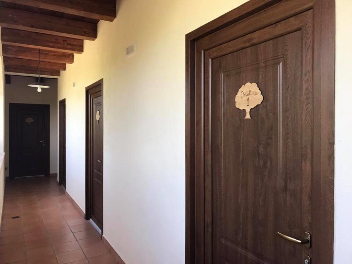 Agriturismo L'Ulivo Padula Buitenkant foto